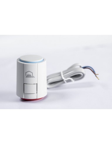 Cap termoelectric 1W (actuator)