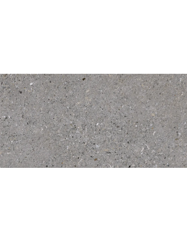 Gresie portelanata gri, 60x30 cm,...